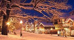 a snowy street lined with shops and trees