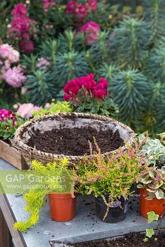 several potted plants on a table in a garden