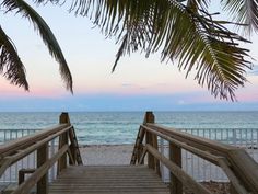 a wooden staircase leading to the beach with palm trees on either side and water in the distance