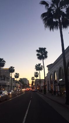 palm trees line the street in front of buildings at dusk, with cars driving down it