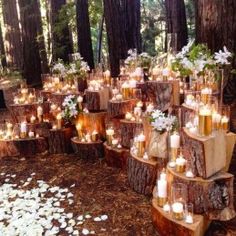 many candles are placed on logs in the woods with white flowers and greenery around them