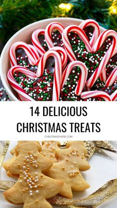 When it comes to delicious Christmas treats there are just so many to choose from! So we have compiled a list of some great ones for snacking and homemade gifting, read more Delicious Christmas Treats, Classic Christmas Treats, Chocolate Roulade, Yummy Christmas Treats, Bite Size Cookies