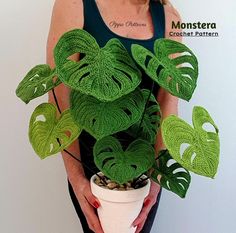 a woman holding a potted plant with monster's head leaves on the top