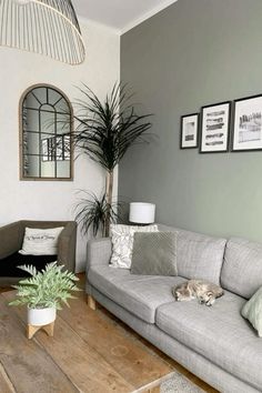 a living room filled with furniture and a cat laying on top of the couches