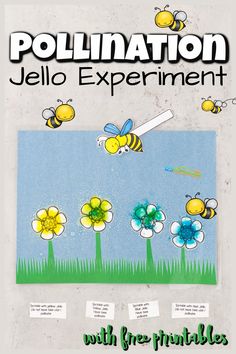 a poster with bees and flowers on it that says pollination jello experiment, with free printables