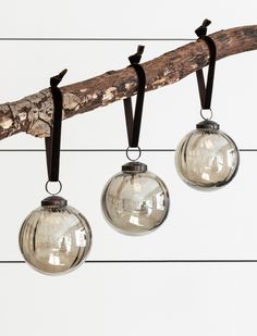 three glass ornaments hanging from a tree branch