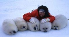 a woman in red jacket laying on top of four white polar bear cubs with their arms around each other