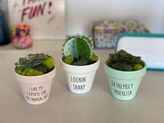 three small potted plants sitting on top of a table