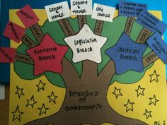 a bulletin board with several different types of branches and stars attached to the tree's leaves