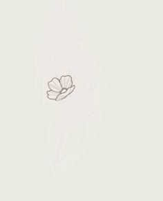 a drawing of a single flower on a white background with space for text or image