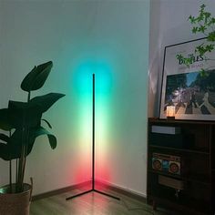 a room with a potted plant next to a floor lamp