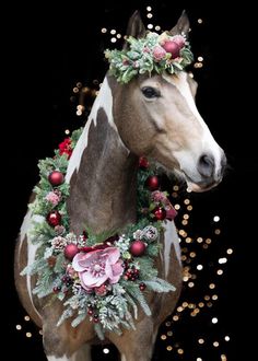 a horse wearing a christmas wreath on its head and neck is standing in front of a black background