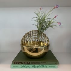 there is a gold bowl with plants in it on top of two books and a planter