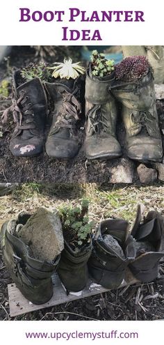 there are many shoes that have been placed on the ground with plants growing out of them