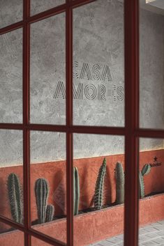 cactus plants are seen through the window of an adobe - style building in santa fez, mexico