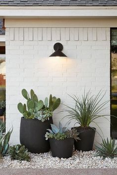 some plants are sitting in front of a white brick wall with a light on it