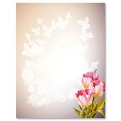 pink tulips and butterflies on a white background with space for text or image