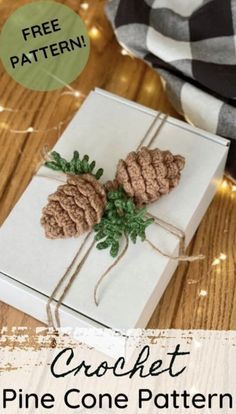 a pine cone pattern is on top of a white box with the words crochet pine cone patterns