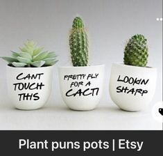 three plant pots with plants in them that say, can't touch for a cacti