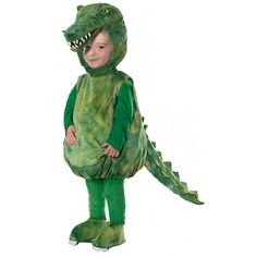 a little boy dressed in a dinosaur costume