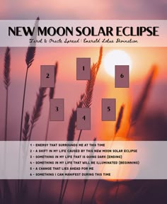 the new moon solar eclipse is shown in front of an orange and purple sky with grass