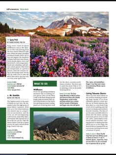 the page is full of pictures and information about wildflowers, including mountain peaks