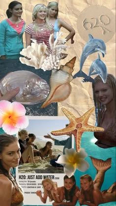 the collage shows pictures of women in bikinis and undershirts, with shells on them