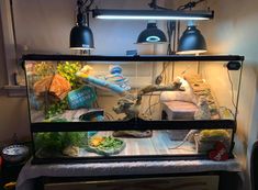 a fish tank filled with lots of different types of food and lights on top of it