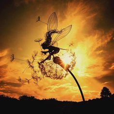 a dandelion with a fairy on it flying in the air at sunset or dawn