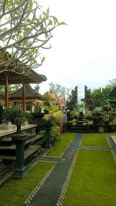 a lush green yard with benches and trees