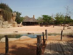 a small pond in the middle of a sandy area next to a wooden fence and some trees