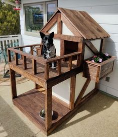 a dog sitting on top of a wooden house