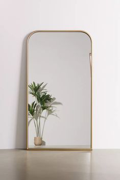 a potted plant sitting in front of a mirror