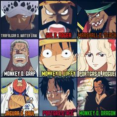 the many faces of one piece characters