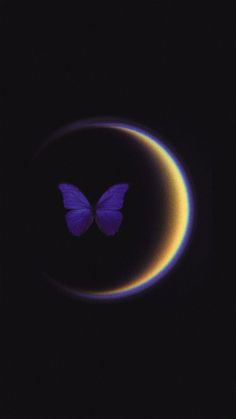 a purple butterfly sitting on top of a crescent in the night sky with a half moon behind it