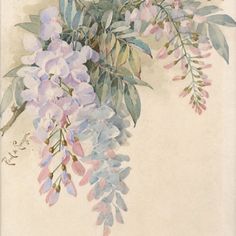 a painting of purple flowers and green leaves