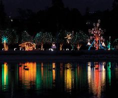 the lights on trees are reflecting in the water