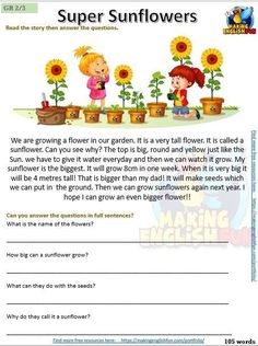 a worksheet for kids to learn how to grow sunflowers in the garden