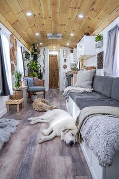 two dogs laying on the floor in a room with wood ceilinging and white walls