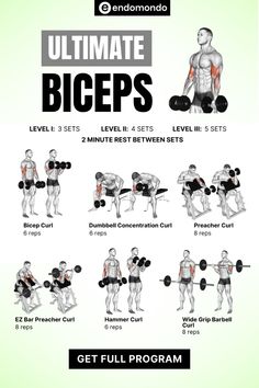 Boost your arm strength with this ultimate biceps workout. Designed as a comprehensive workout plan for men, these exercises target your biceps for maximum muscle growth. Ready to sculpt powerful arms? Click now to explore the best arm workout routine! Build Muscle Men Workout Plans, Chest And Bicep Dumbell Workout, Compound Bicep Workout, Biceps Peak Workout, Arm Excersises At Gym, Arms Workout For Men Dumbbell, Bicep Destroyer Workout, Workout For Your Arms, Biceps Exercise For Men