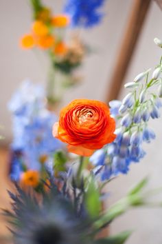 an orange flower is in a vase with blue and yellow flowers behind it on a table