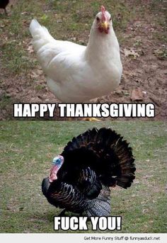 a white chicken standing on top of a grass covered field next to a black turkey