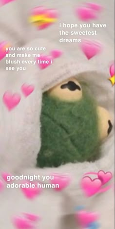 a stuffed animal peeks out from under a blanket with hearts on it and the caption, i hope you have the sweetest dreams