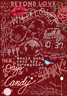 a red poster with words written on it and a rose in the middle, surrounded by other typograms