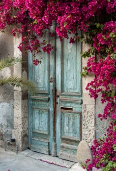 a painting of an open door with pink flowers on it