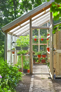 a small greenhouse with lots of plants in it