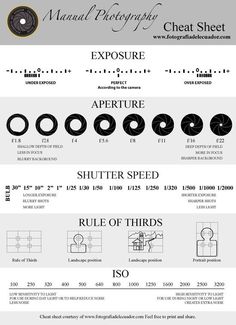 an info sheet showing the different types of wheels and tires for each type of vehicle