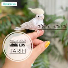 a small white bird sitting on top of a persons hand with text above it that reads, arba susu mini kus tarif