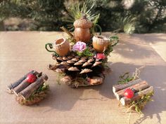 an arrangement of pine cones and other items on a table