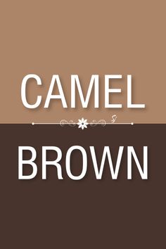 Caramel Outfit Color Combos, Camel Color Palette, Color Palette Bright